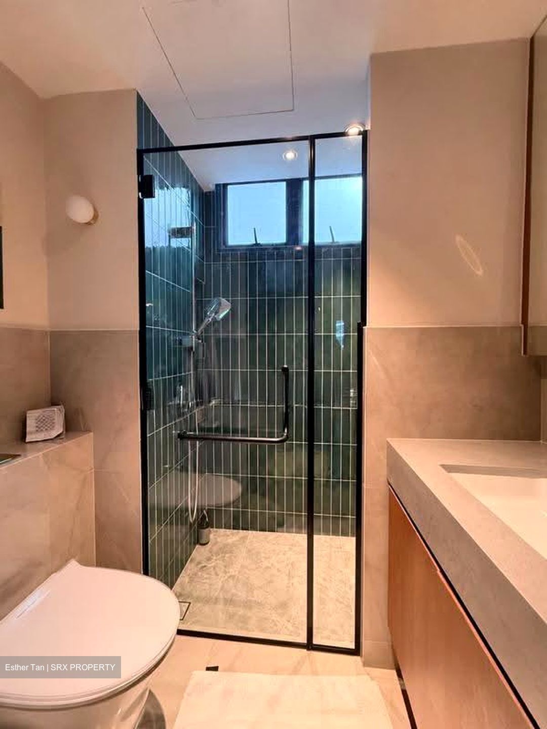 Sanctuary Green (D15), Condominium #628901581